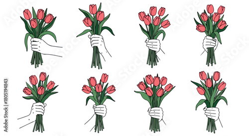 Evergreen trees collection with transparent background