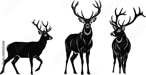 Horse jumping equestrian sport show jumping illustration black and white graphic design art 100 char