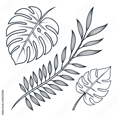 Outlined tropical leaves including monstera and fern arranged on a white background surface art created with generated ai