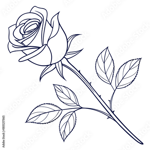 Detailed line drawing of a rose with leaves and thorns on a white background illustration artwork created with generated ai
