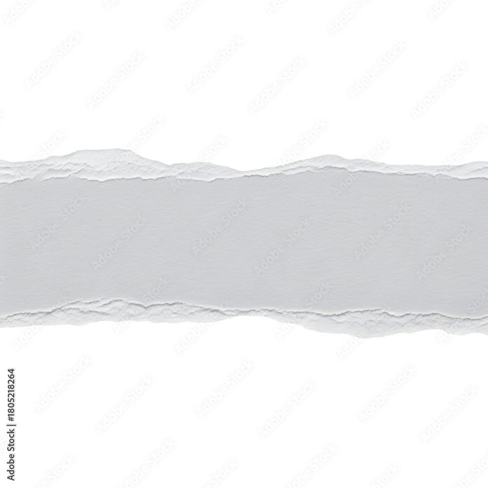 Obraz premium Torn paper edge with a gray background a design element for creative projects isolated on white