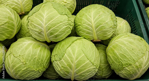 Top-down close-up of fresh pale-green cabbages in a market basket