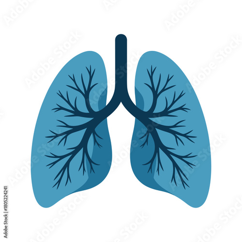 Stylized illustration of healthy blue lungs with branching airways on white background