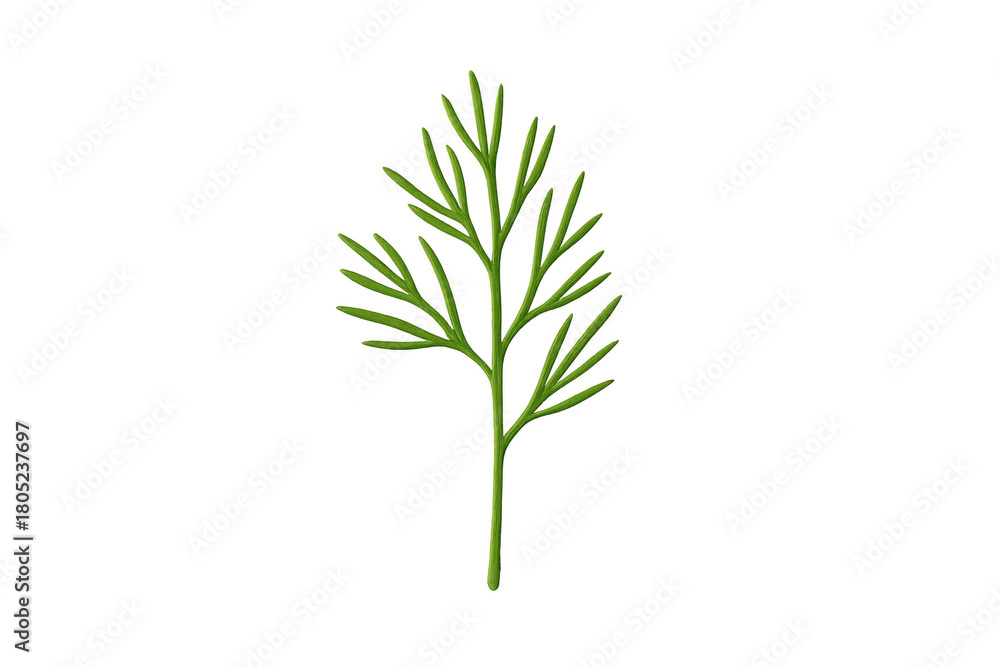 Fototapeta premium Fresh green dill herb sprig transparent background