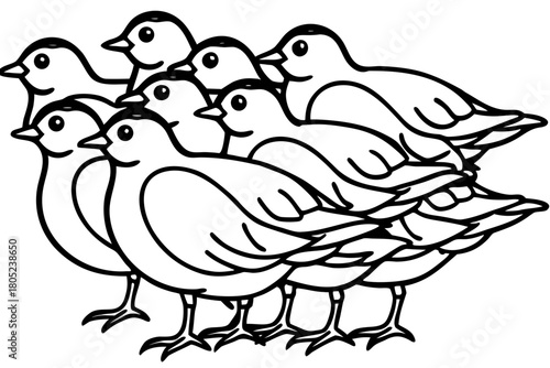 Birds Line Art Bundle Vector on White Background