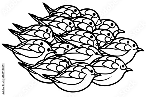 Birds Line Art Bundle Vector on White Background