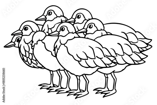 Birds Line Art Bundle Vector on White Background