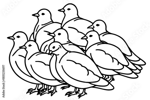 Birds Line Art Bundle Vector on White Background