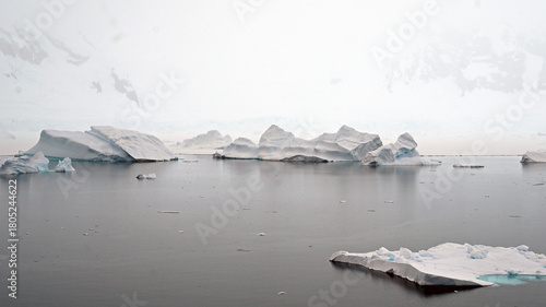 But for the teal blue of icebergs at the waterline, the Antarctic landscape is nearly black and white due to snow, water, ice, mist, fog and cold.