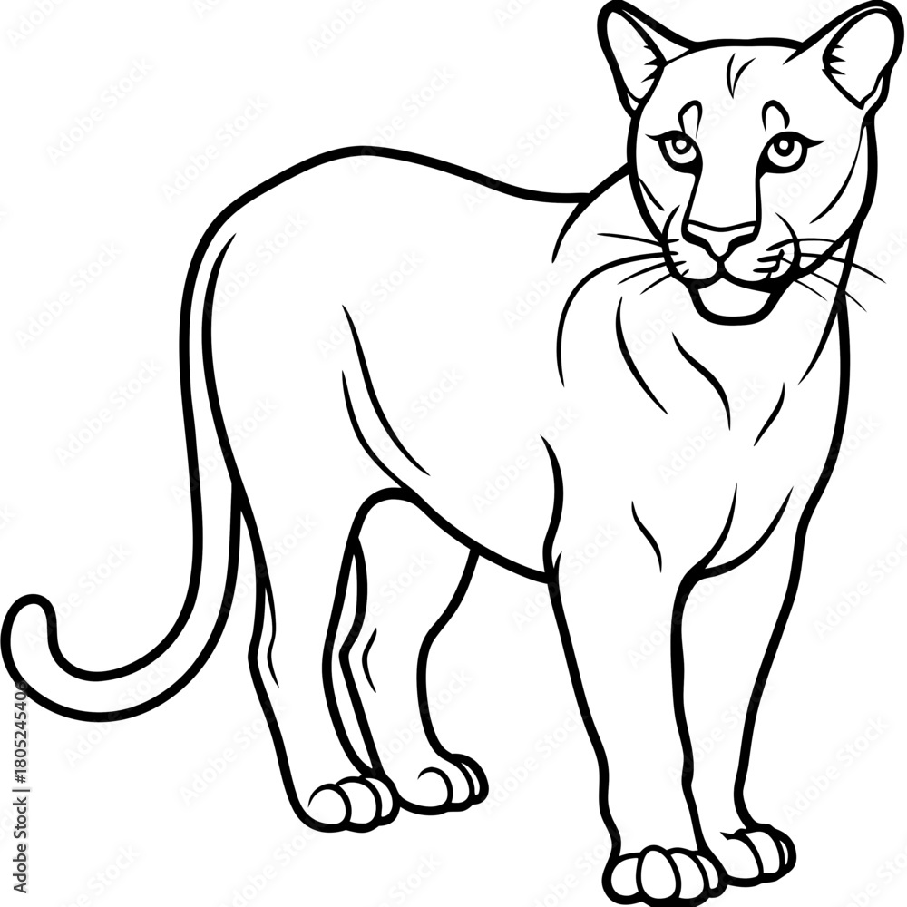 Fototapeta premium Cougar Silhouette Vector