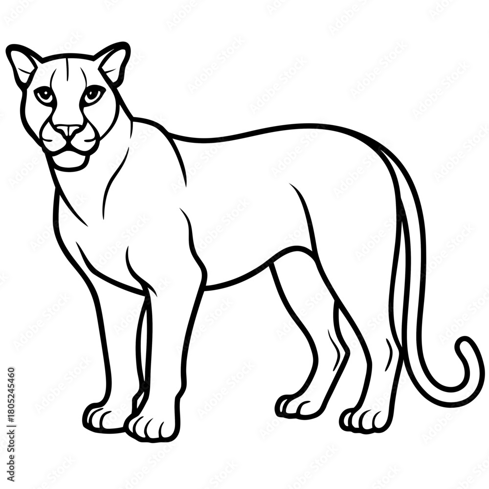Obraz premium Cougar Silhouette Vector
