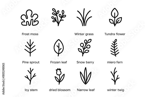 Arctic Plant Icon Set. Arctic plants. Line outline icon set of Arctic plants: frost moss, tiny shrub, winter