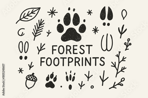 Forest Footprint Doodles. Forest footprints. Hand-drawn doodle illustration of Forest footprints. Central