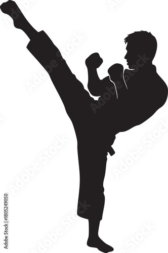 Martial arts high kick silhouette vector