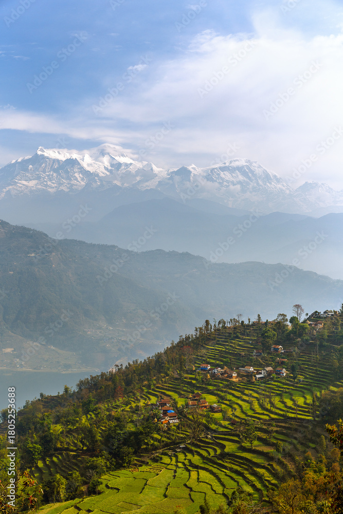 Naklejka premium Terraced fields and Himalayan mountains