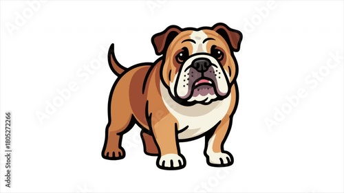 Bulldog English pet, art video illustration.