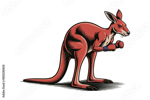 Boxing kangaroo illustration with red gloves and striped ground