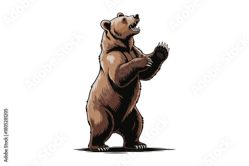 Brown bear standing on hind legs with mouth open