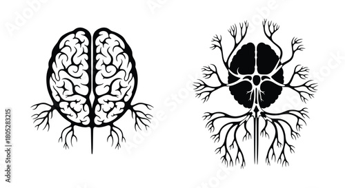 Detailed illustration of human brain anatomy showcasing both side and frontal views