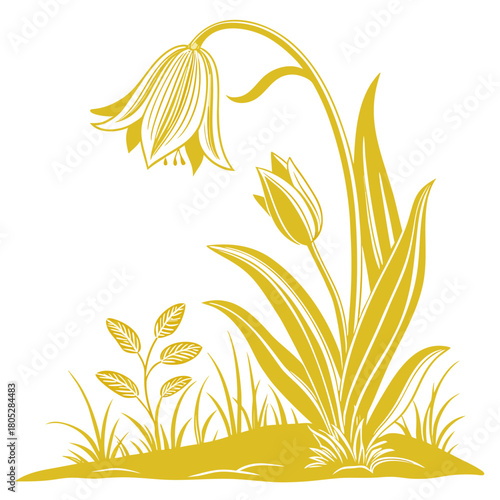  yellow skunk cabbage with leaves