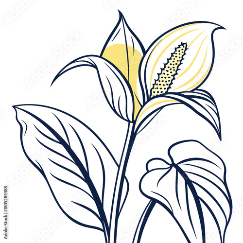  yellow skunk cabbage vector