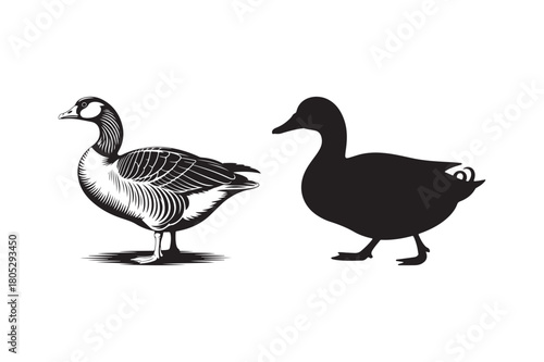 Two geese side by side one detailed drawing one silhouette