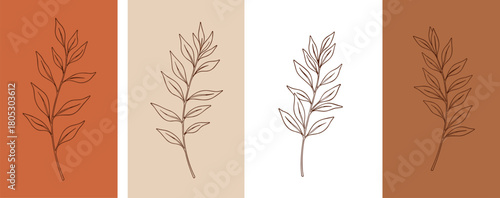 Fotografija Set of minimalist botanical leaf branch line art drawings on terracotta and beige backgrounds, flat vector illustration isolated