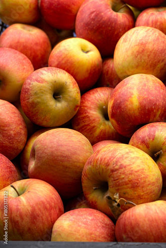Large red apples in a box at the market.