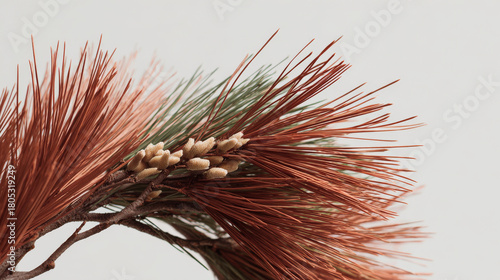 minimalist christmas wreath crafted from pine branches and natural materials perfect for holiday decor