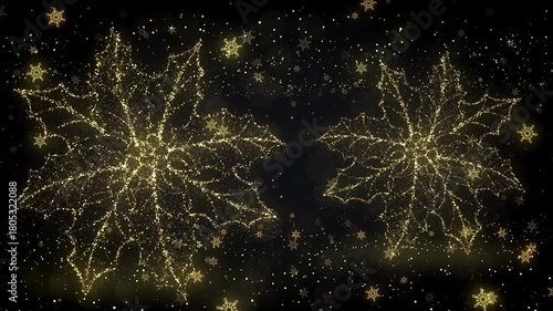 Wallpaper Mural Christmas Background Loop With Christmas Poinsettia Torontodigital.ca