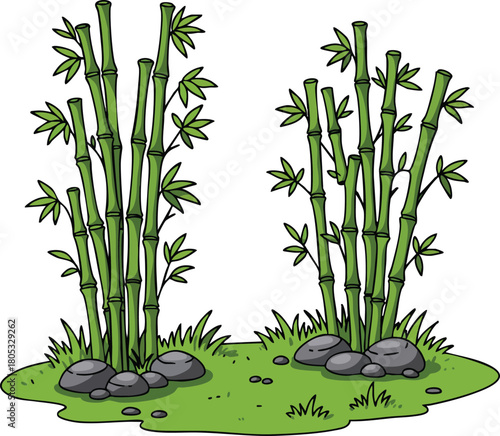 Bamboo plant cluster with green leaves and rocks on grass patch vector illustration natural scene 