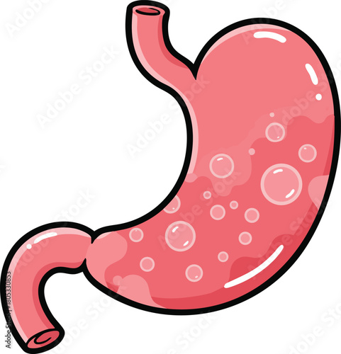 Human stomach anatomy illustration showing digestive organ with bubbles vector graphic design 
