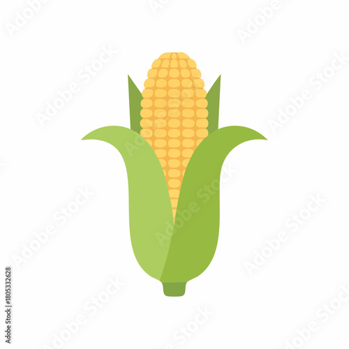 Ear of Corn Icon Illustration