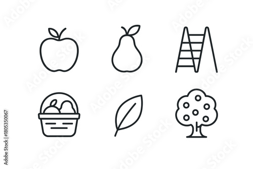 Outline icons of apple, pear, ladder, fruit basket, leaf, and tree