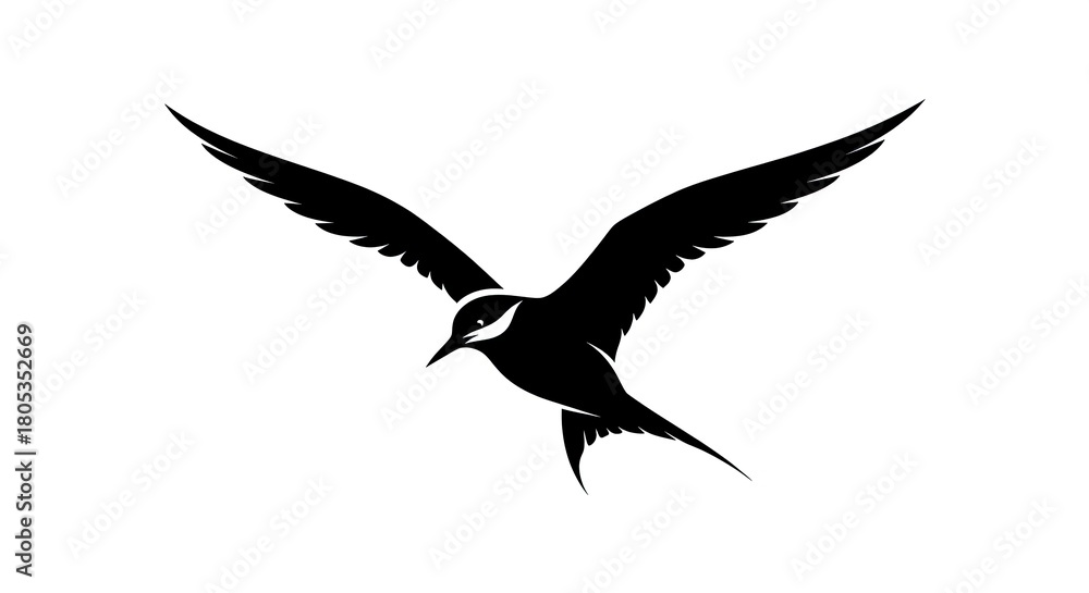 Obraz premium Silhouette of soaring bird with extended wings on white background