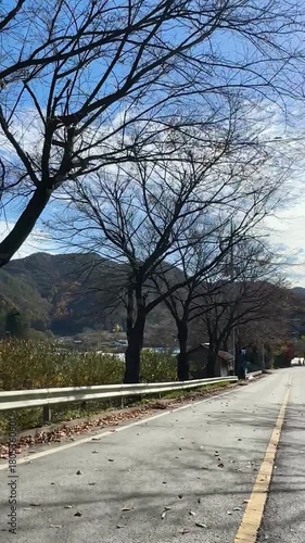 Autumn Country Road Drive with Falling Leaves in South Korea – 4K