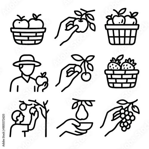 Fruit harvest icons: apples, cherries, peaches, strawberries, grapes, farmer picking