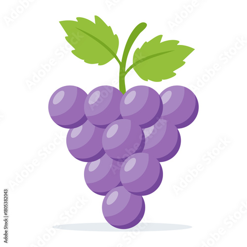 Bunch of purple grapes with green leaves, fresh fruit illustration for healthy eating, wine production