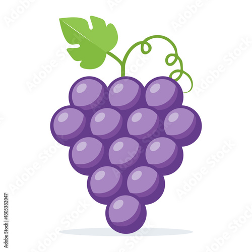Cartoon illustration of a fresh purple grape bunch with a green leaf and vine, isolated on a white background, representing healthy and organic food