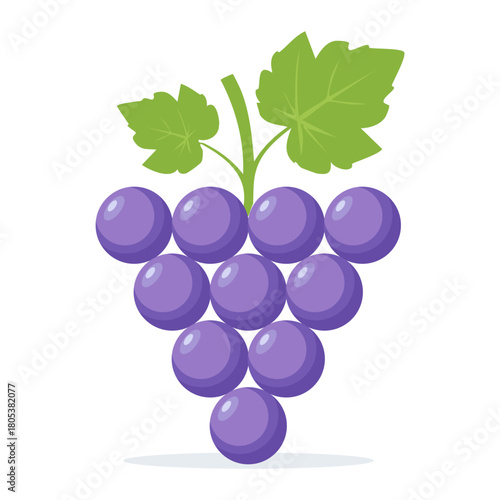 Fresh Grapes Illustration with Leaves and Round Berries