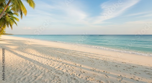 Fototapeta Naklejka Na Ścianę i Meble -  Tropical beach with palm trees and tranquil ocean waves under blue sky