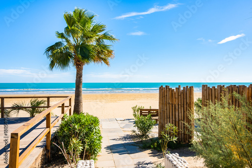 Fototapeta Naklejka Na Ścianę i Meble -  Sunny beach access framed by a palm tree and bamboo fencing on the Adriatic coast in Vieste, Apulia, Italy