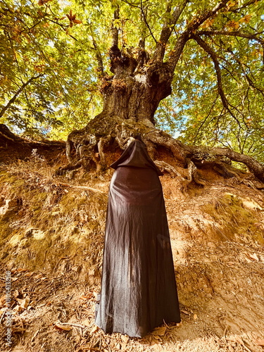 A woman wearing a black cape looking at an old chestnut tree in autumnrt