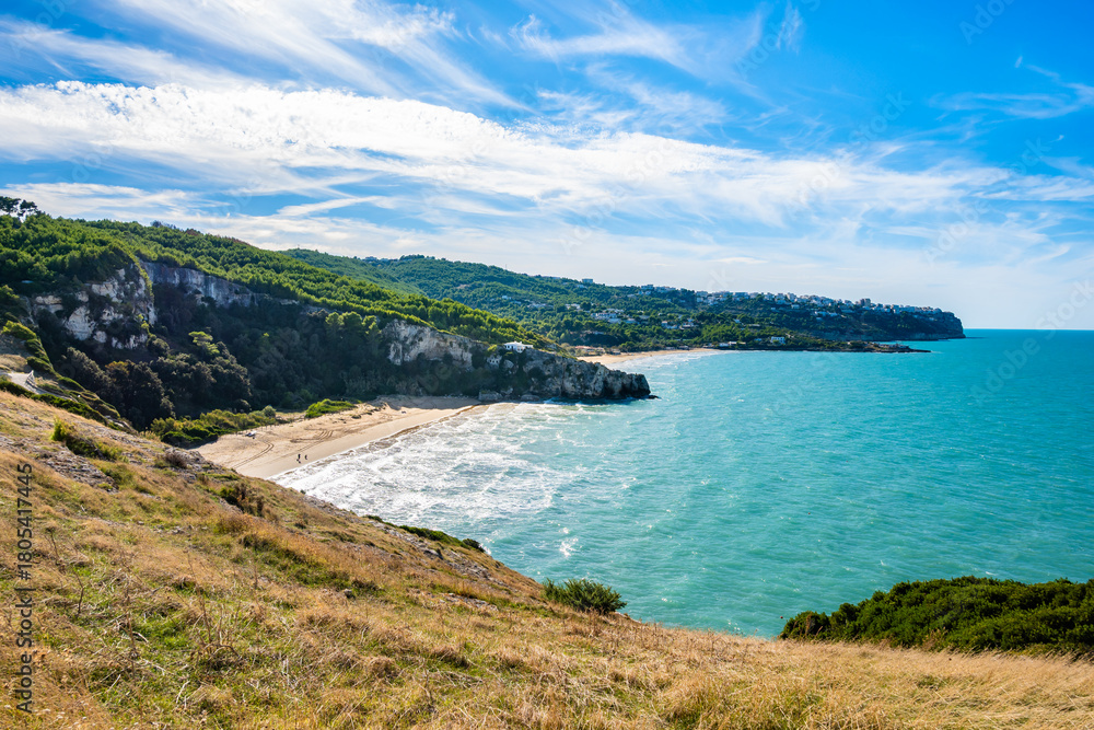 Obraz premium Panoramic view of green cliffs and turquoise waters along Zajana beach at the Gargano coastline, Apulia, Italy.