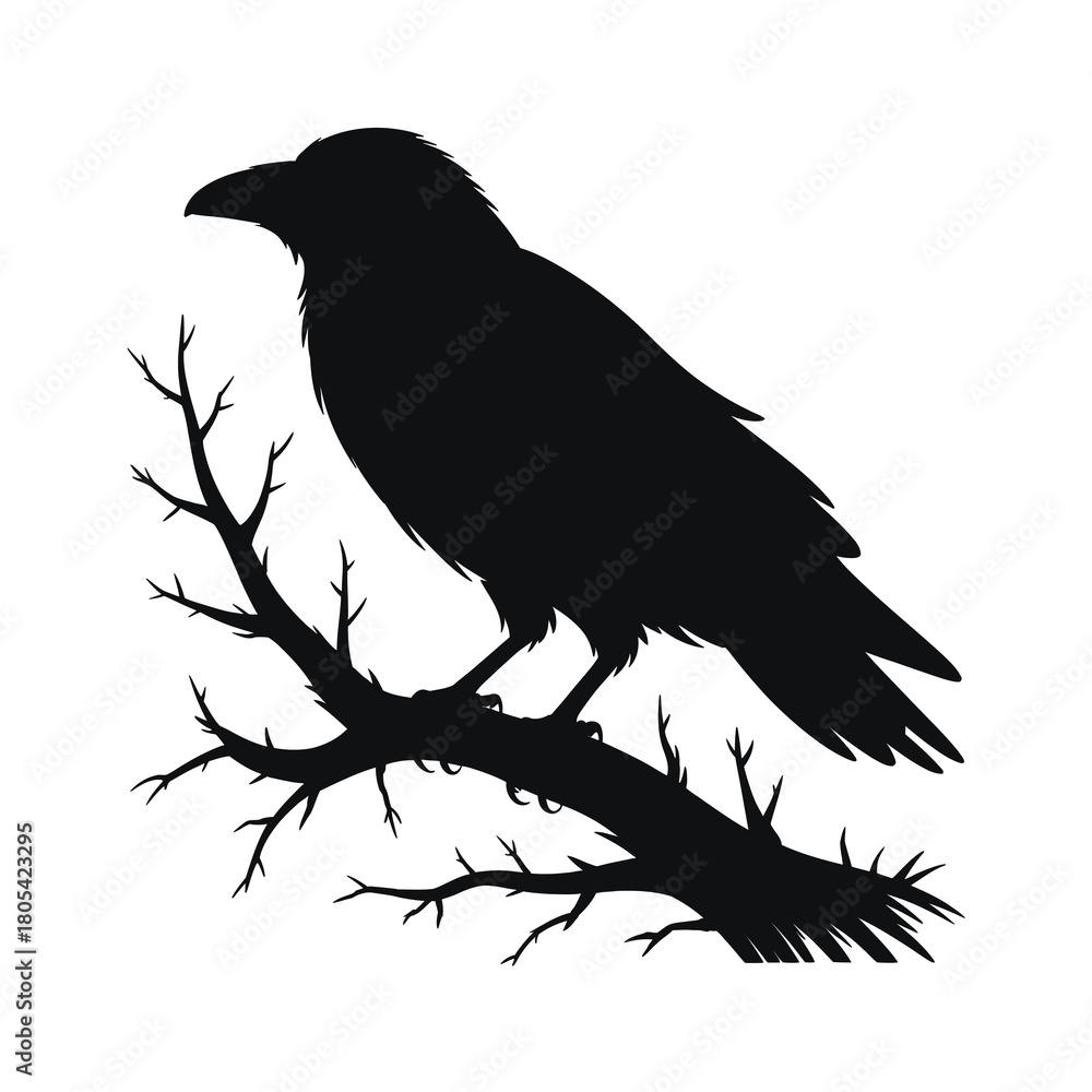 Fototapeta premium Black crow silhouette perched on a bare branch silhouette