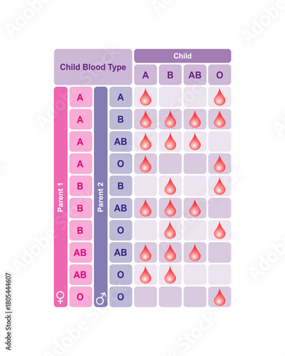 Baby Blood Type Chart Science Design. Vector Illustration.