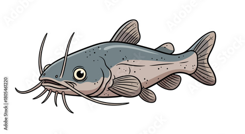 Cartoon illustration of a realistic-looking catfish with prominent whiskers and fins on a white background