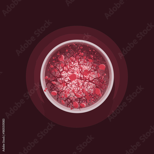 Microscopic view of blood cells and vessels within a circle