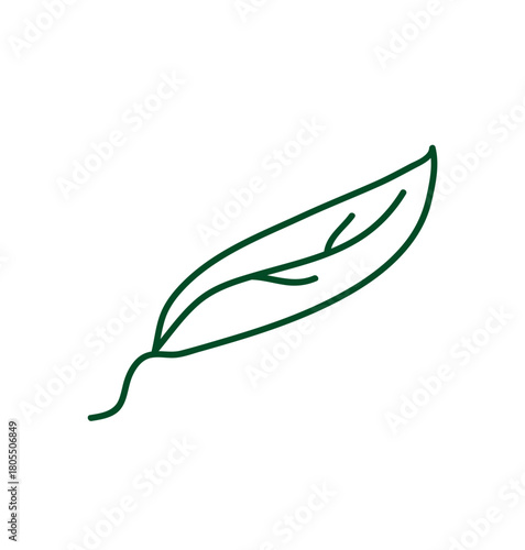  leaf line art style 
