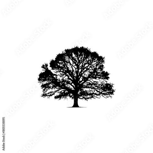 Striking black silhouette of a mature tree, perfect for logos, designs, and nature-themed projects